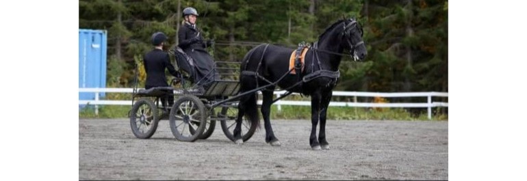 Trening med Unni Sørtømme